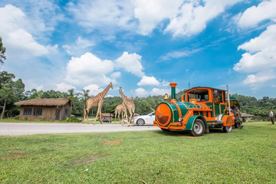 2020年最具幸福感城市榜单出炉，说走就走的旅行清单该更新了…… - 靖西市·靖西网