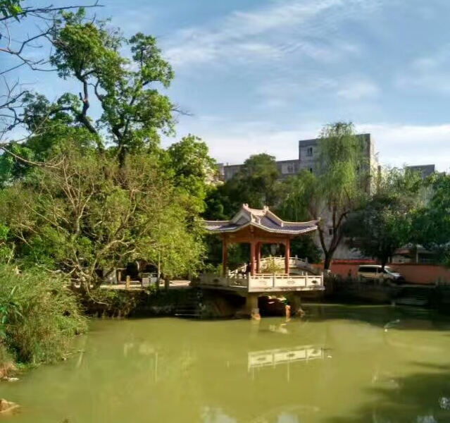 靖西市中山公园 - 靖西市·靖西网