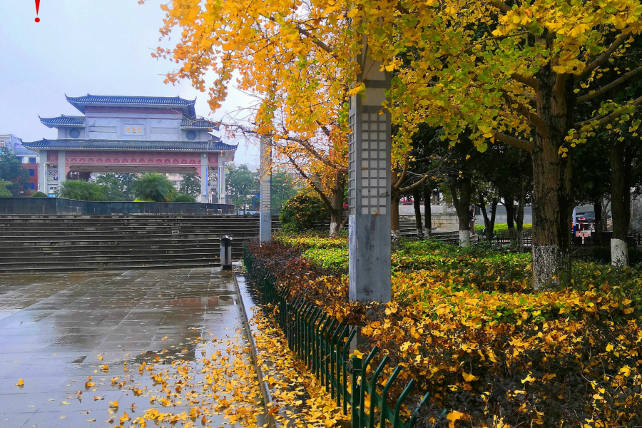 靖西市中山公园 - 靖西市·靖西网