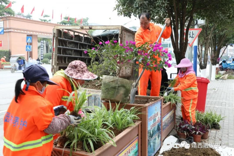 快看！这些花箱换新了！ - 靖西市·靖西网