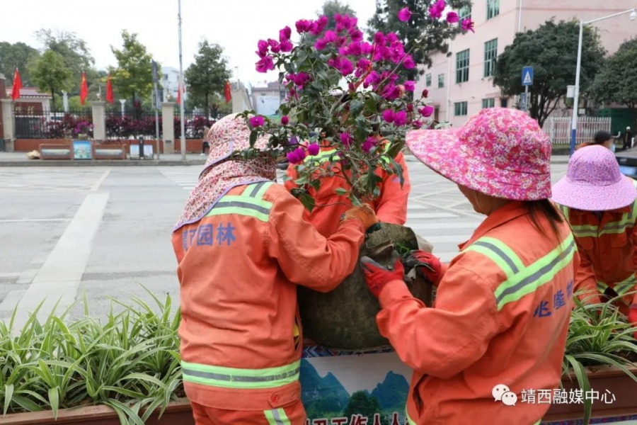 快看！这些花箱换新了！ - 靖西市·靖西网