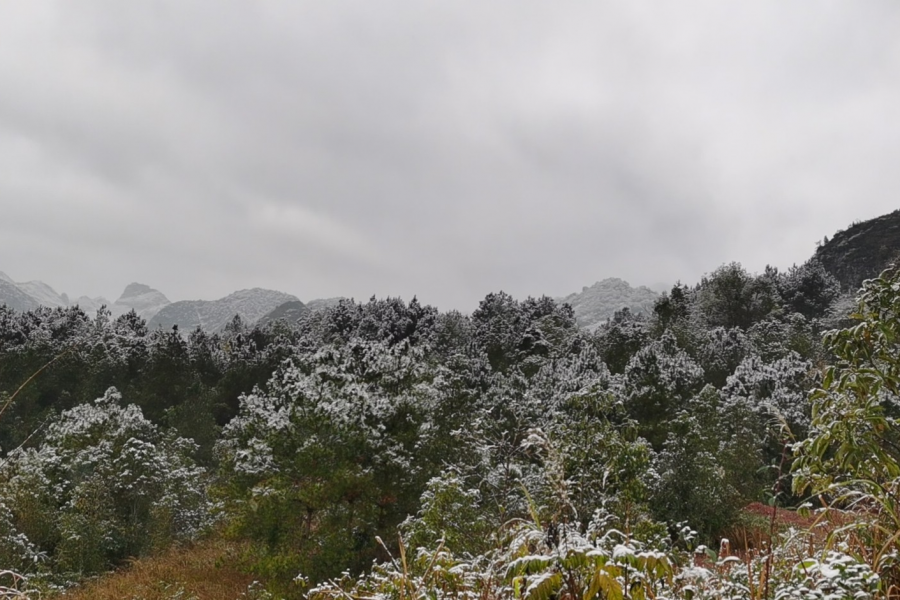 靖西那嘎的下雪了 - 靖西市·靖西网