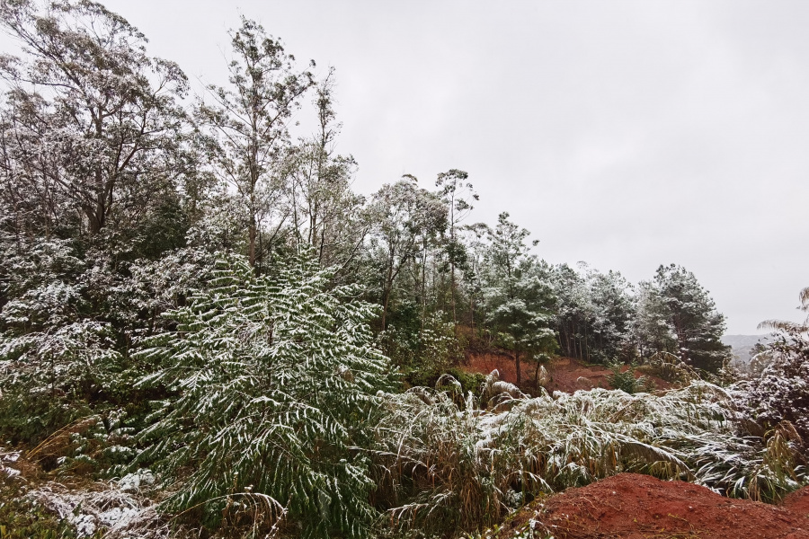 靖西那嘎的下雪了 - 靖西市·靖西网