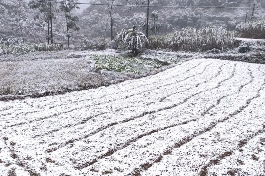 靖西下雪了，百色最低0下4度！路面冰滑，小心驾驶 - 靖西市·靖西网