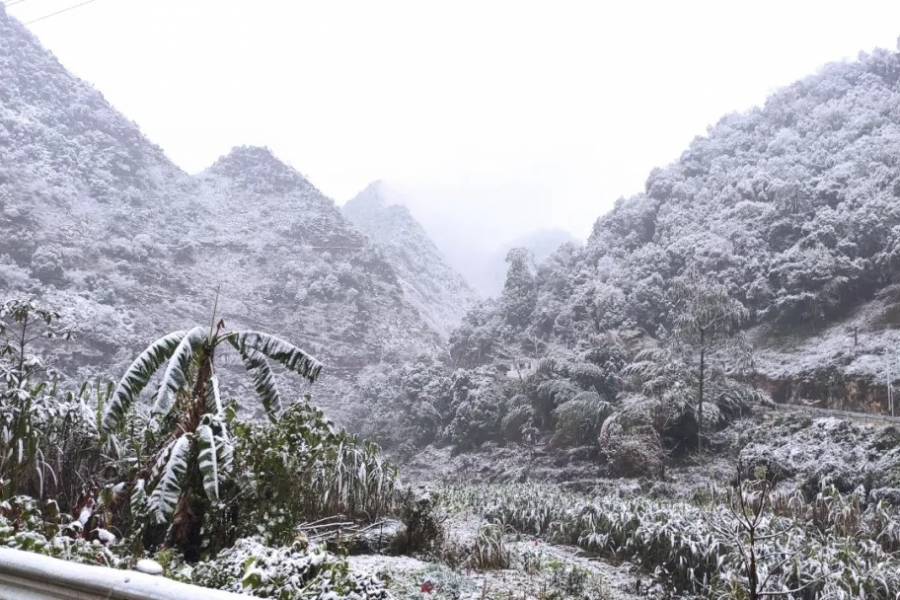 靖西下雪了，百色最低0下4度！路面冰滑，小心驾驶 - 靖西市·靖西网