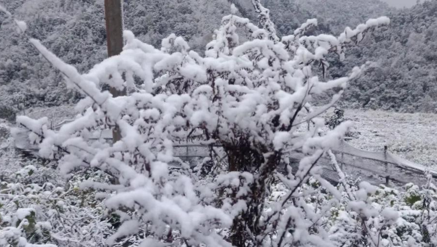 靖西临县“小德国”下的雪好大呀 - 靖西市·靖西网