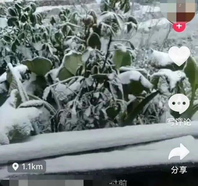 靖西临县“小德国”下的雪好大呀 - 靖西市·靖西网