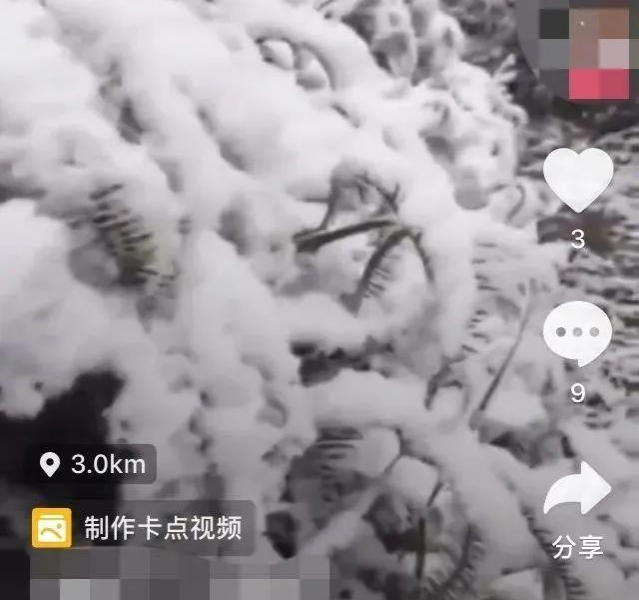 靖西临县“小德国”下的雪好大呀 - 靖西市·靖西网