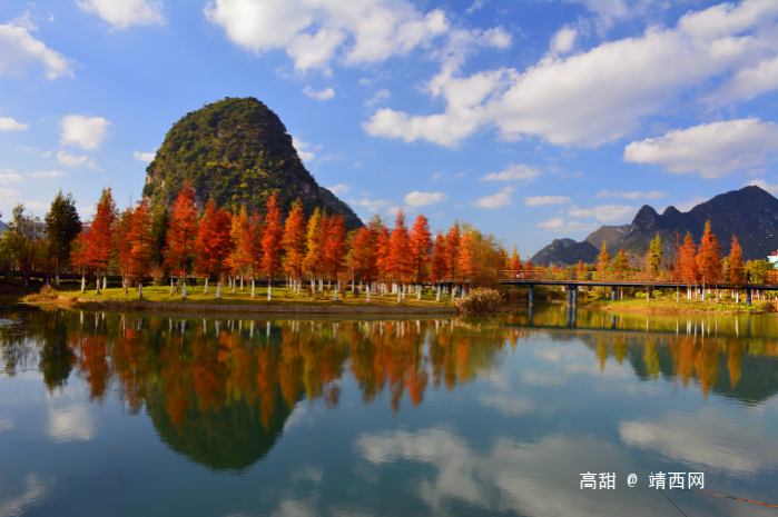 摄影师眼里的龙潭湿地公园。 - 靖西市·靖西网