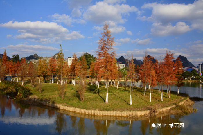 摄影师眼里的龙潭湿地公园。 - 靖西市·靖西网