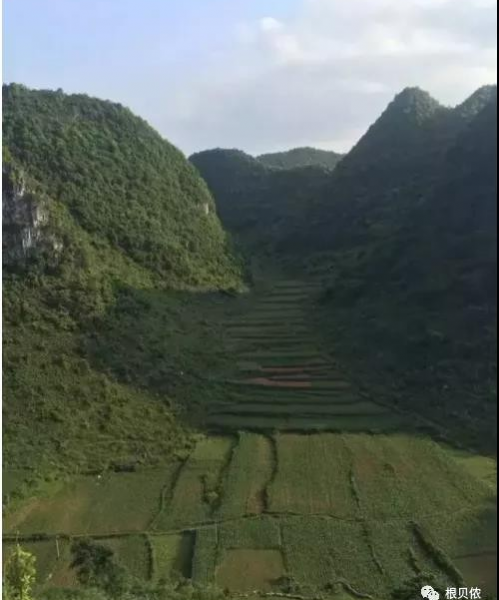 靖西南天国宝藏与侬智高墓葬的新发现 ！！！ - 靖西市·靖西网