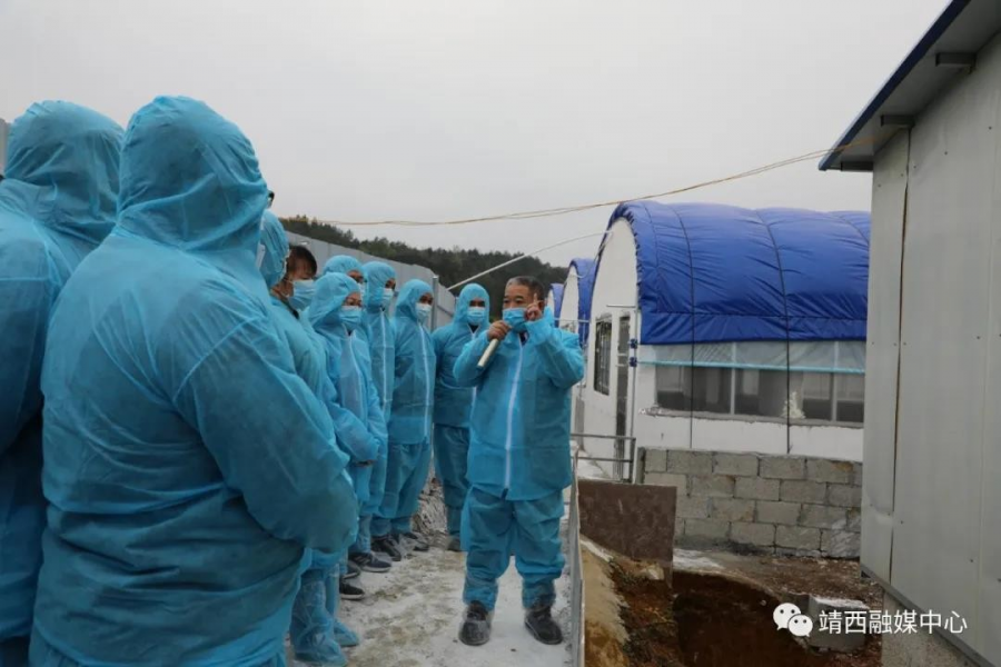 靖西市召开生猪产业化联合体示范建设现场会 - 靖西市·靖西网