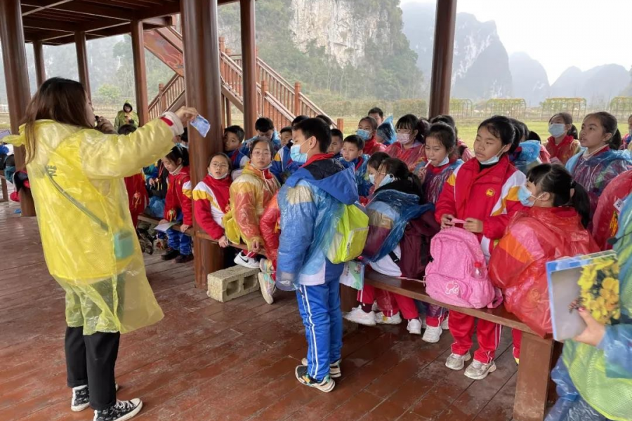 靖西市实验小学生到旧州古城开展研学活动！ - 靖西市·靖西网