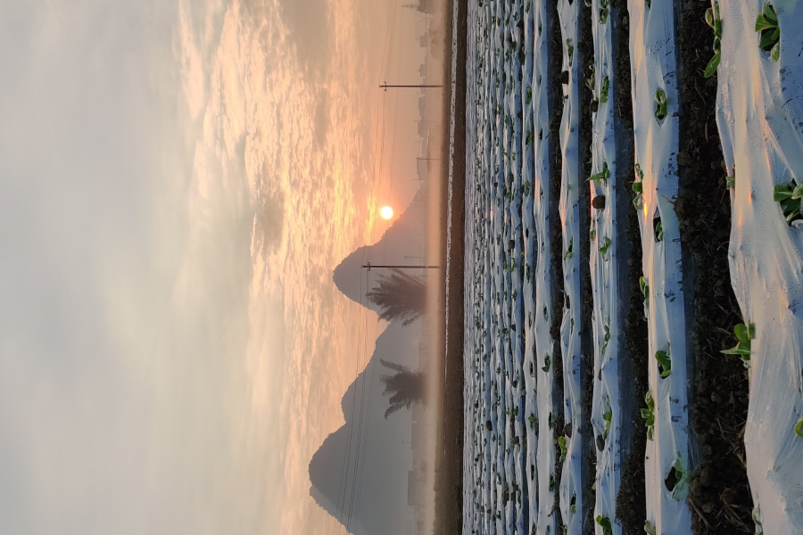 你是别人的风景，却看湿了我的眼 - 靖西市·靖西网