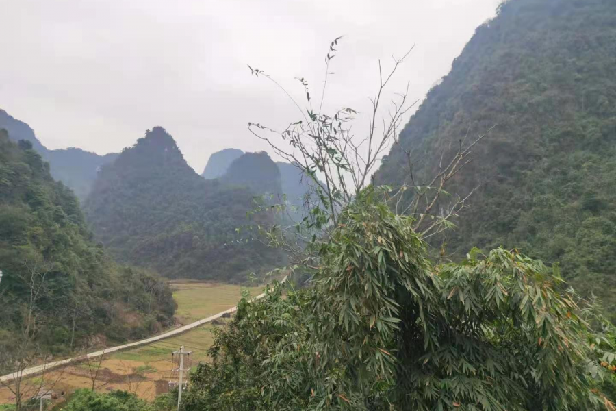 天青色等烟雨，我在等着你 - 靖西市·靖西网