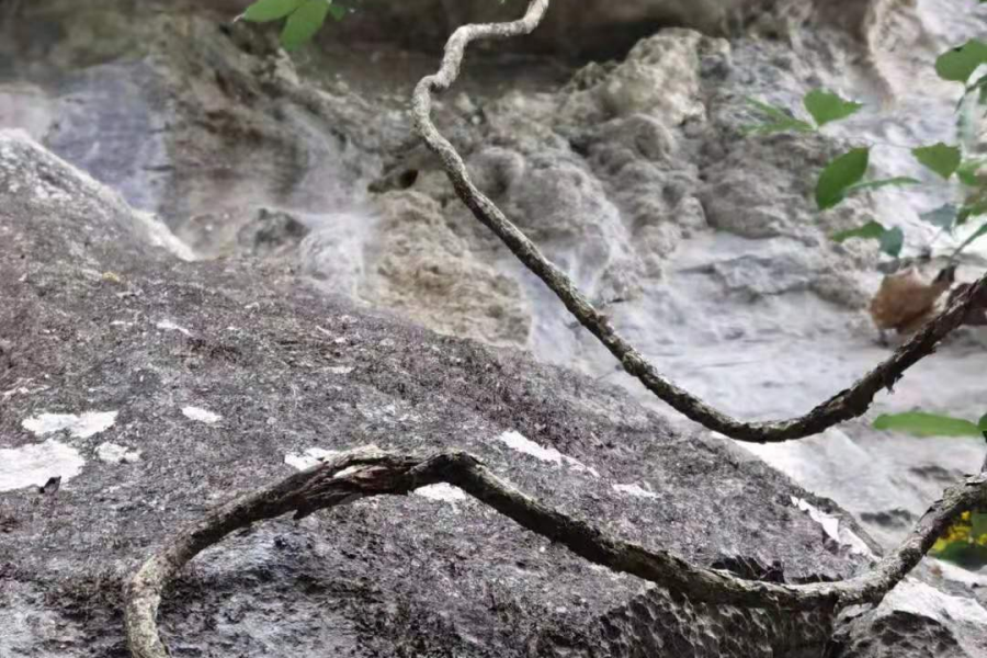 在靖西最好的旅行—挺进大山 - 靖西市·靖西网