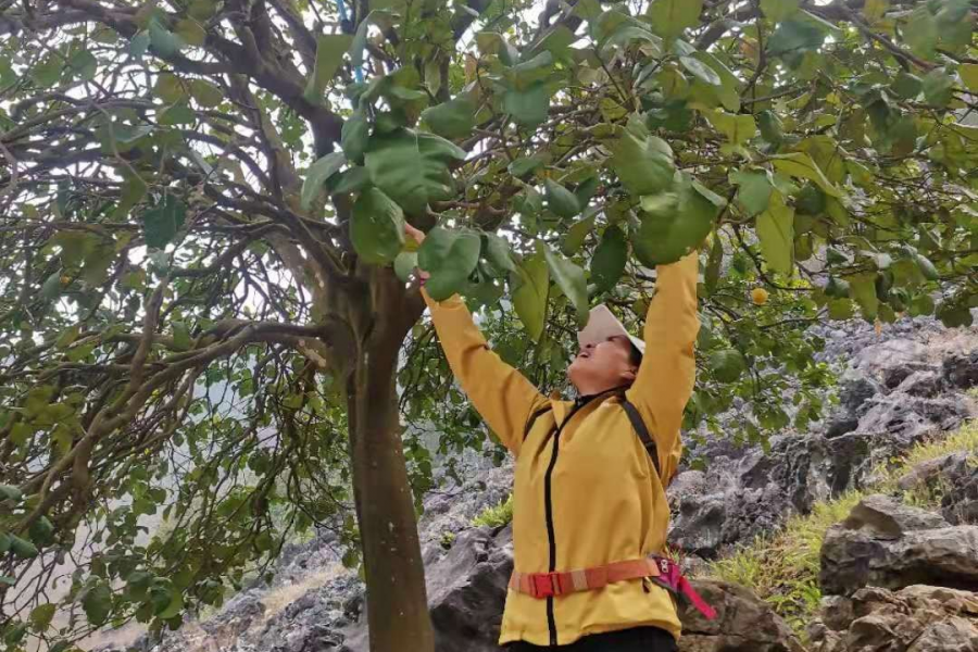 靖西户外：行走在山林间，感受大自然无限风光 - 靖西市·靖西网