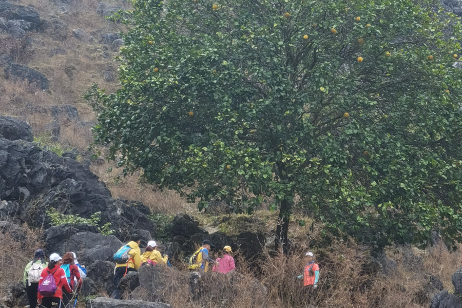 靖西户外：行走在山林间，感受大自然无限风光 - 靖西市·靖西网