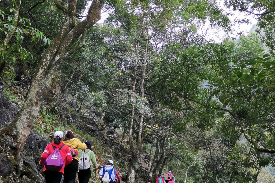 靖西户外：行走在山林间，感受大自然无限风光 - 靖西市·靖西网