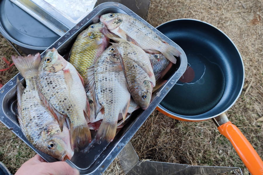 靖西美食，香煎粽子 - 靖西市·靖西网