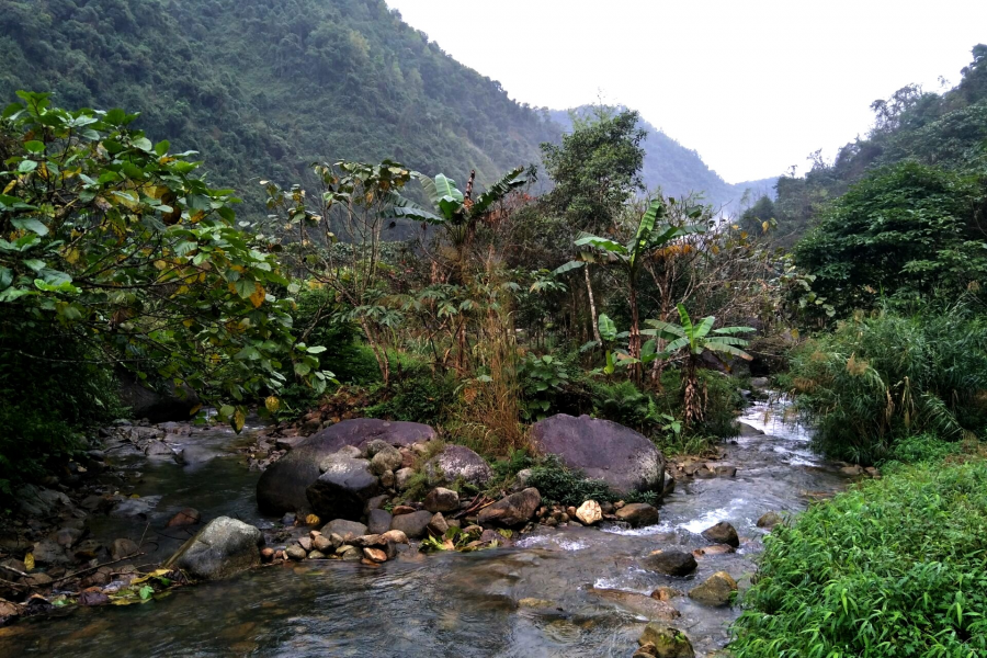 在靖西最好的旅行—挺进大山 - 靖西市·靖西网