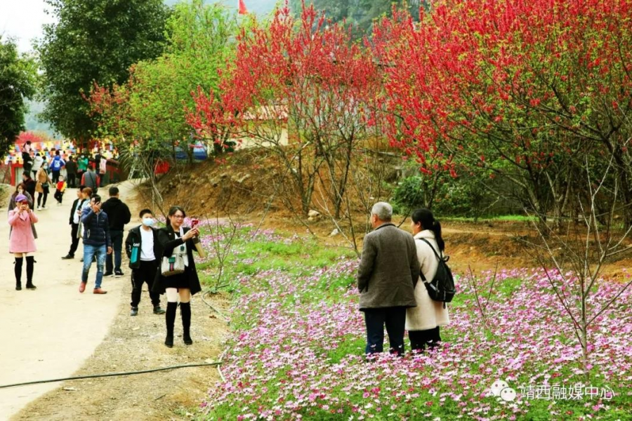 靖西春节期间旅游消费达一亿多元 - 靖西市·靖西网