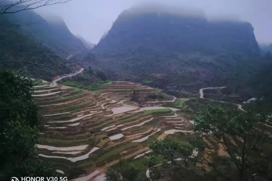 雾锁山头山锁雾 - 靖西市·靖西网