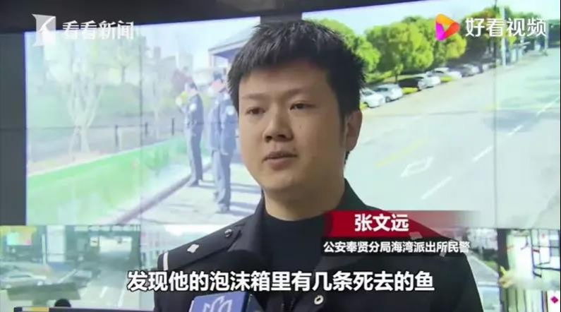 欲哭无泪！价值5万元的珍稀锦鲤被盗，找到时已经成... - 靖西市·靖西网