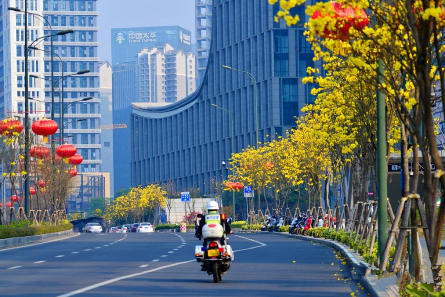 春暖花开，扫黄打卡 - 靖西市·靖西网