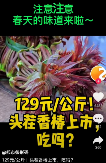 靖西都没人摘的野菜，120元一斤！你吃过吗？ - 靖西市·靖西网