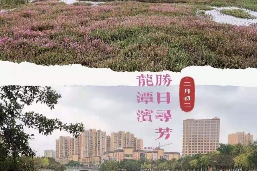 我和龙潭有个约会 - 靖西市·靖西网