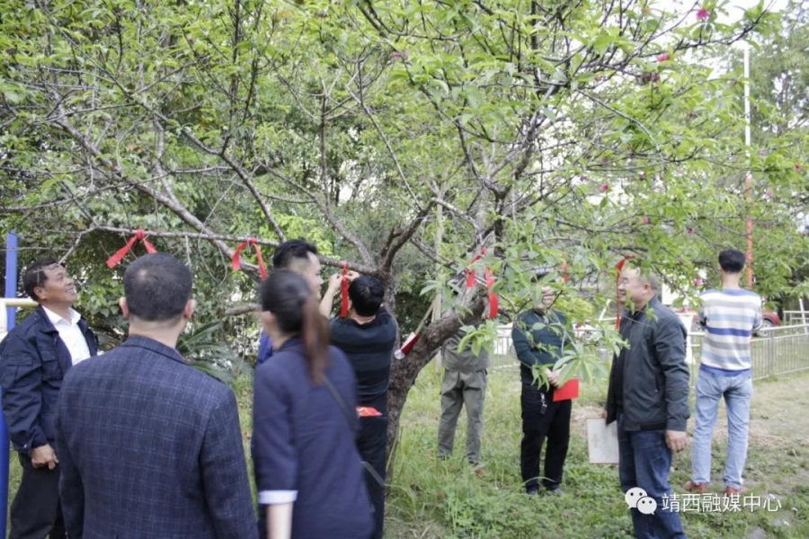 湖润镇：卸任不卸劲，薪火永相传 - 靖西市·靖西网