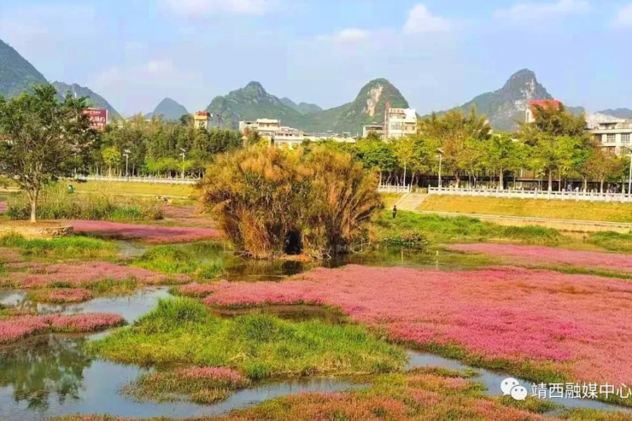 给个地址，寄来自靖西龙潭的一份浪漫给你可好？ - 靖西市·靖西网