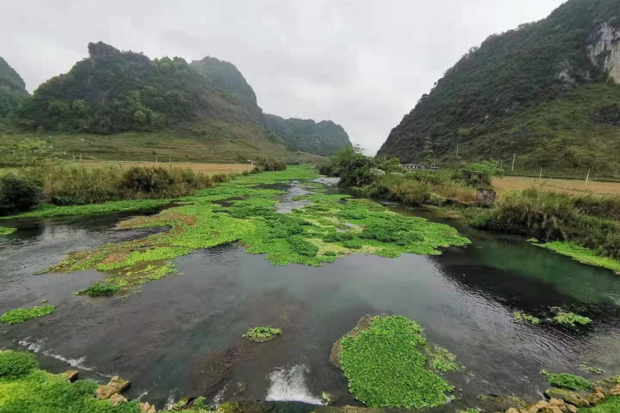 靖西渴望来一场大雨...... - 靖西市·靖西网