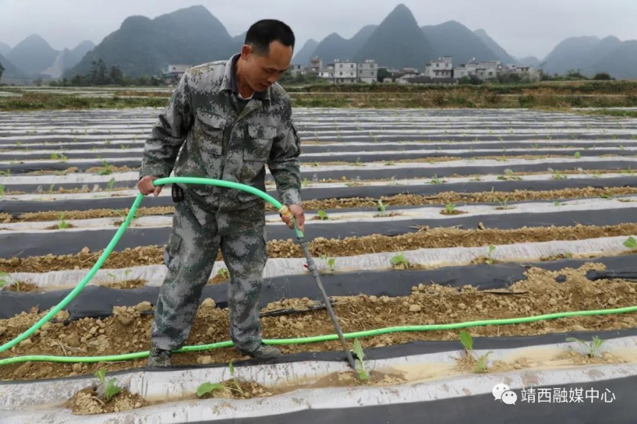 靖西市同德乡足表村坡郡屯的王云斗一家被认定为第一批享受精准扶贫政策的帮扶对象 - 靖西市·靖西网