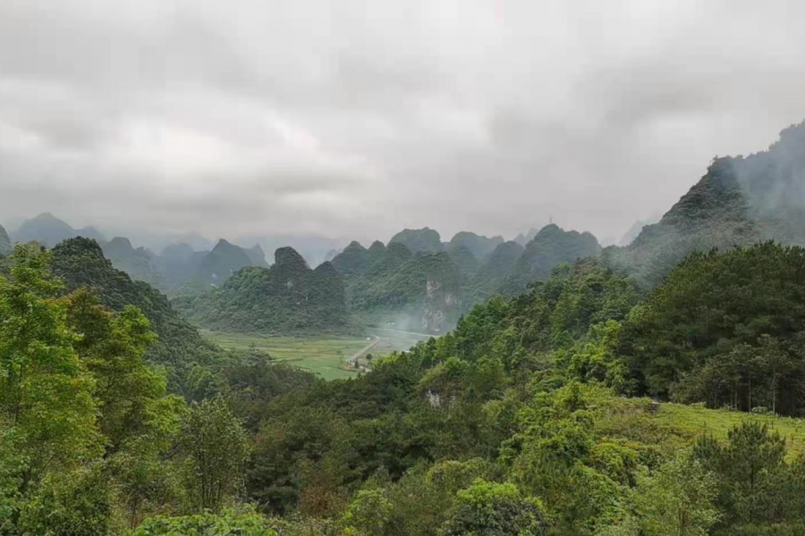 今天4月4号清明节 看看靖西这些地方，美爆了！！！ - 靖西市·靖西网