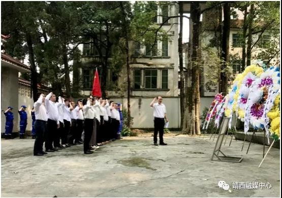 靖西党员干部扎实推进党史学习教育活动 - 靖西市·靖西网