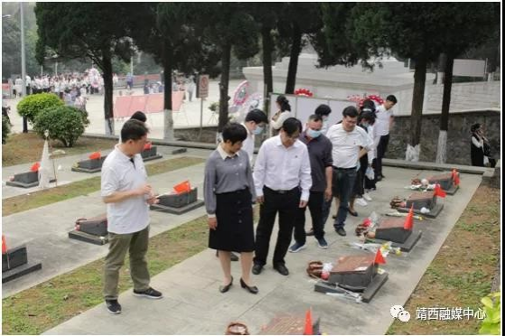 靖西党员干部扎实推进党史学习教育活动 - 靖西市·靖西网