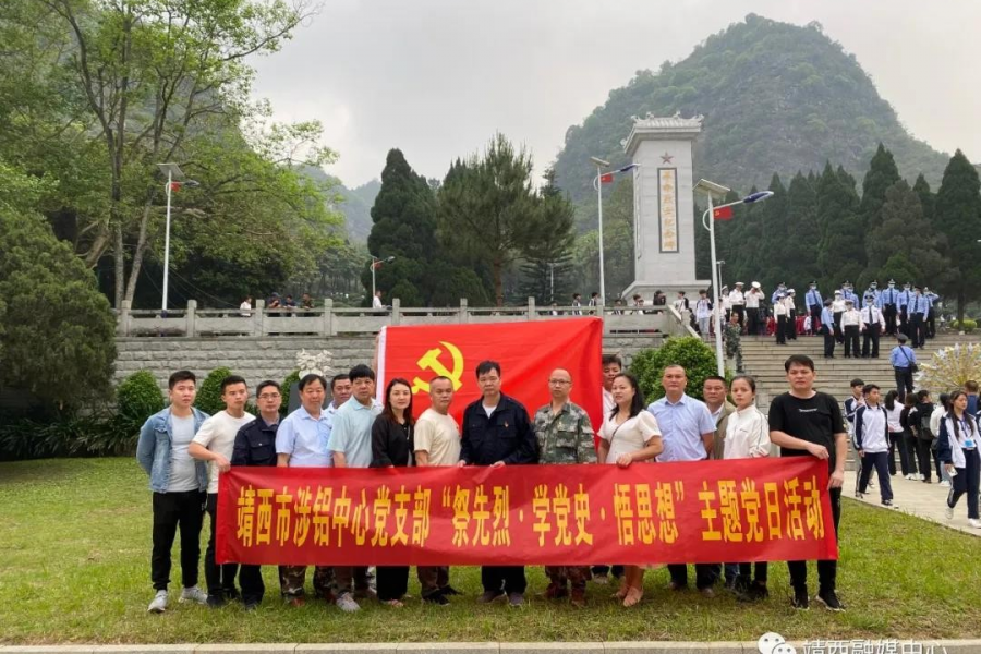 靖西党员干部扎实推进党史学习教育活动 - 靖西市·靖西网