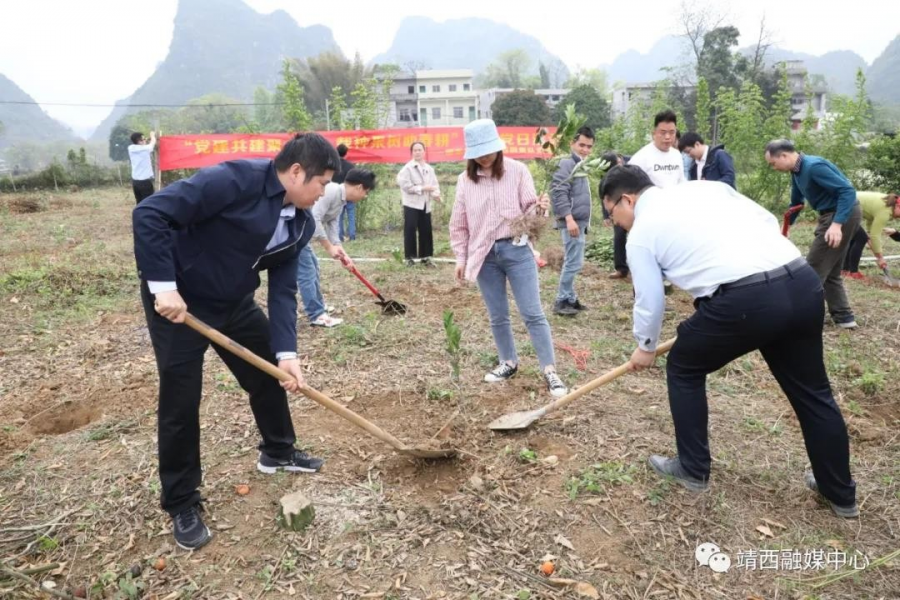 靖西：党史学习重在实践 这两个村党员带头振兴乡村 - 靖西市·靖西网