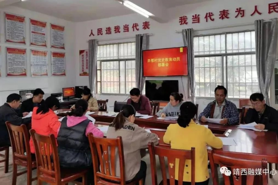 靖西：党史学习重在实践 这两个村党员带头振兴乡村 - 靖西市·靖西网