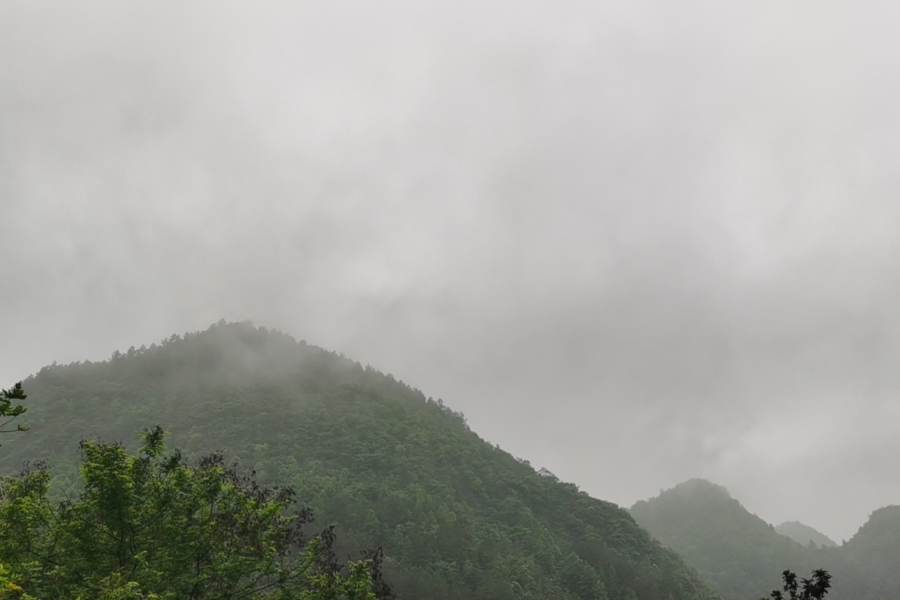 早安，靖西山民们 - 靖西市·靖西网