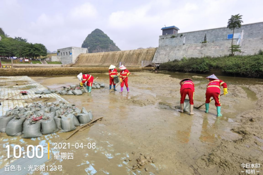 呵护生态文明，靖西城管人在行动 - 靖西市·靖西网