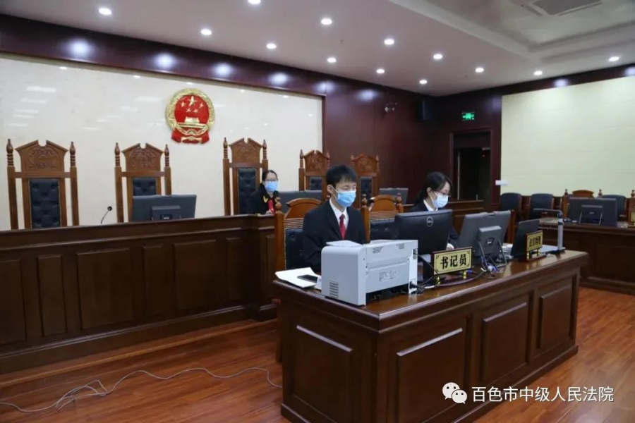 百色一男子上山抓鸟，拘役四个月 - 靖西市·靖西网