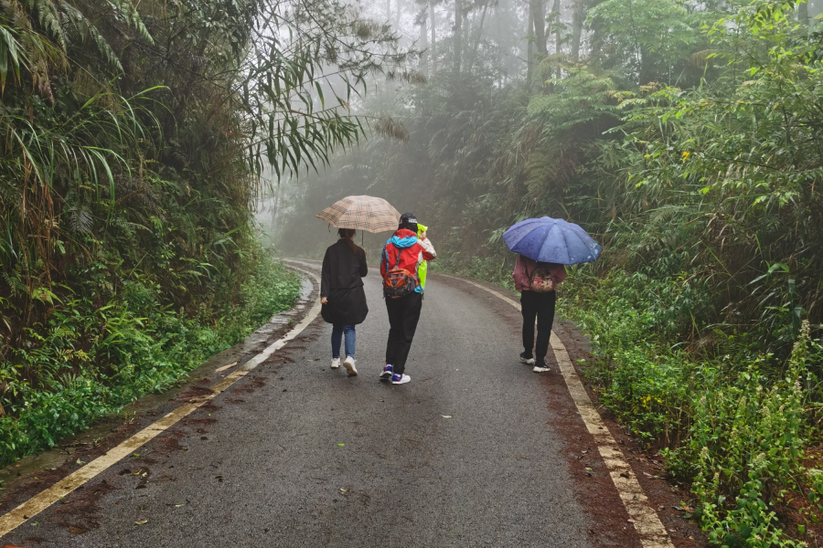 靖西五岭，迷雾森林 - 靖西市·靖西网