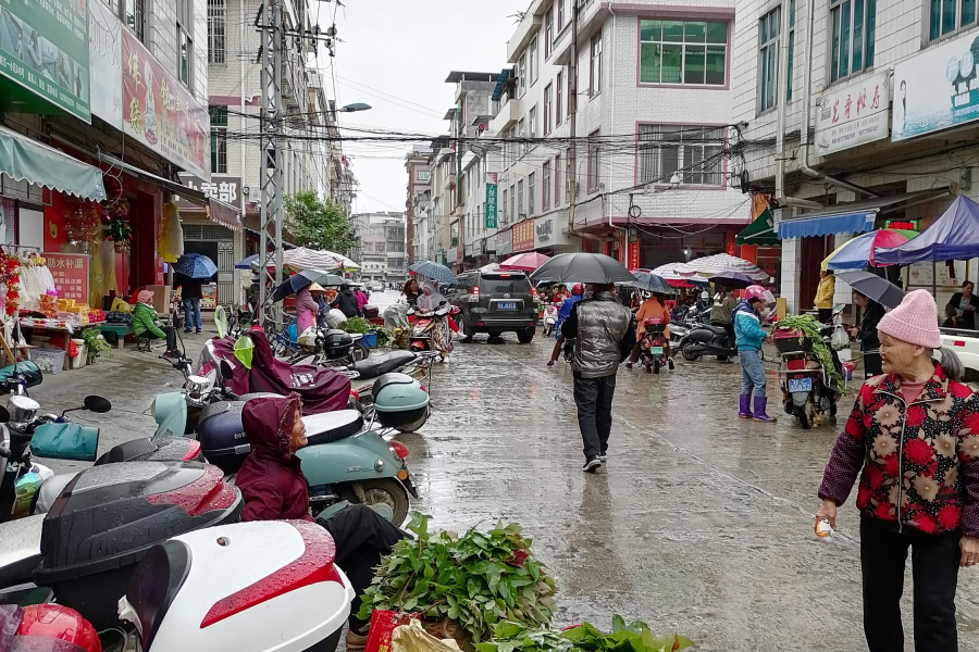 靖西城中小区，老奶奶冒雨提供糯米染料 - 靖西市·靖西网