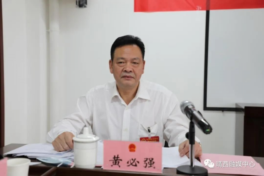 周武红 钟恒钦参加靖西市代表团审议 - 靖西市·靖西网