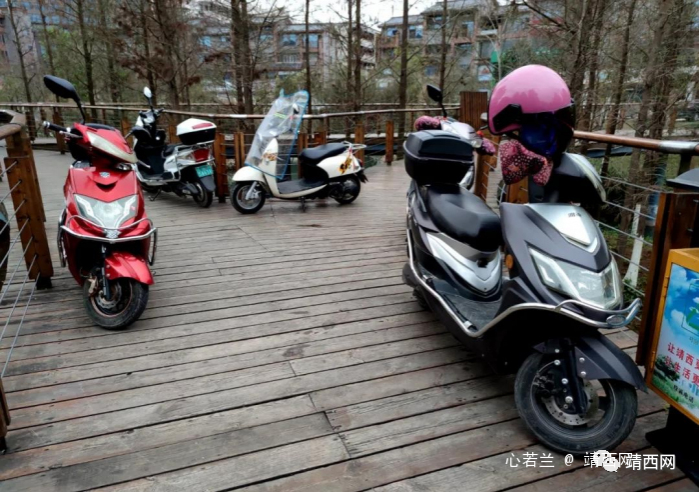 真的服了！又在龙潭湿地公园这样停车！！ - 靖西市·靖西网