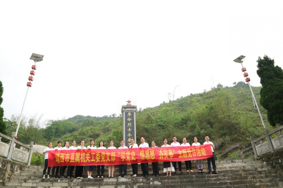 靖西市直属机关工委组织多部门开展 “学党史 悟思想 办实事”主题党日活动 - 靖西市·靖西网