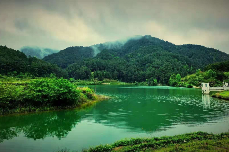 提前庆祝五一，我们在靖西五岭等你 - 靖西市·靖西网